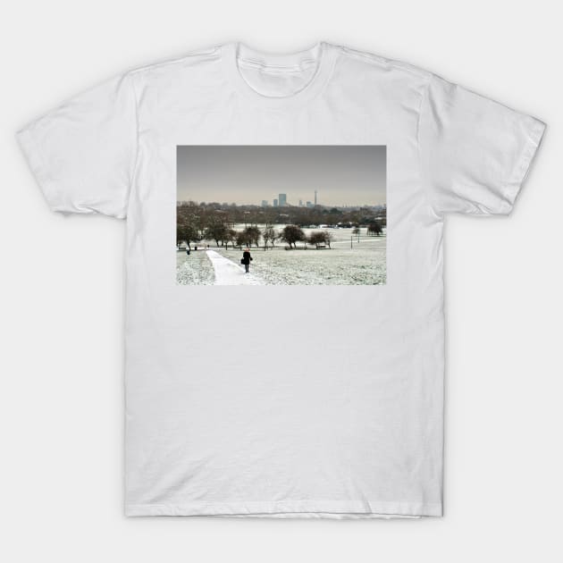 London Skyline Cityscape Primrose Hill T-Shirt by AndyEvansPhotos